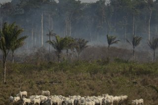 Chaque année, la combustion des énergies fossiles et, dans une bien moindre mesure, la déforestation, émettent environ 40 milliards de tonnes de CO2, principal facteur de réchauffement de la planète.
